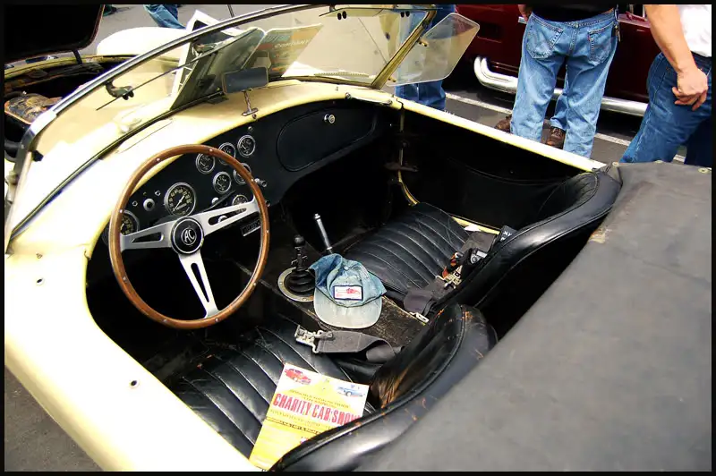 cobra3.webp