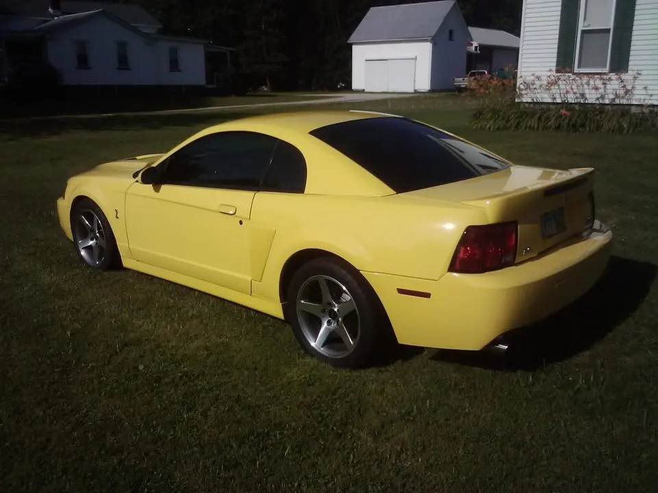 Cobra4.webp