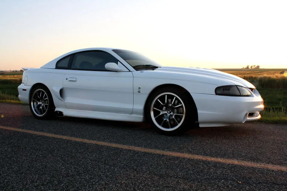 COBRA4.webp
