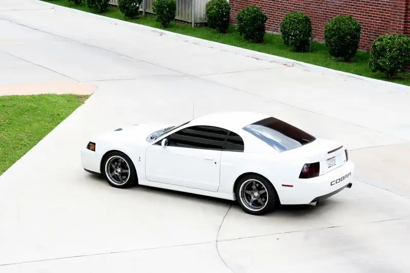 cobra4.webp