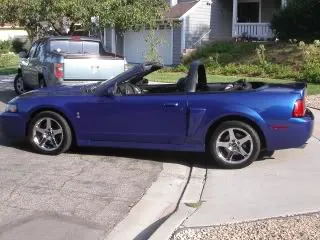 Cobra4.webp