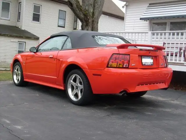 cobra4_001.webp
