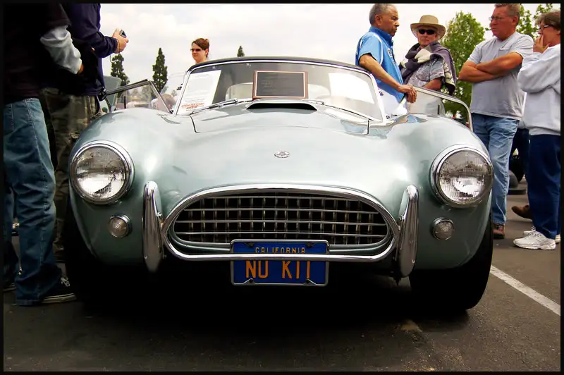cobra5.webp