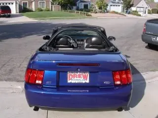 Cobra5.webp