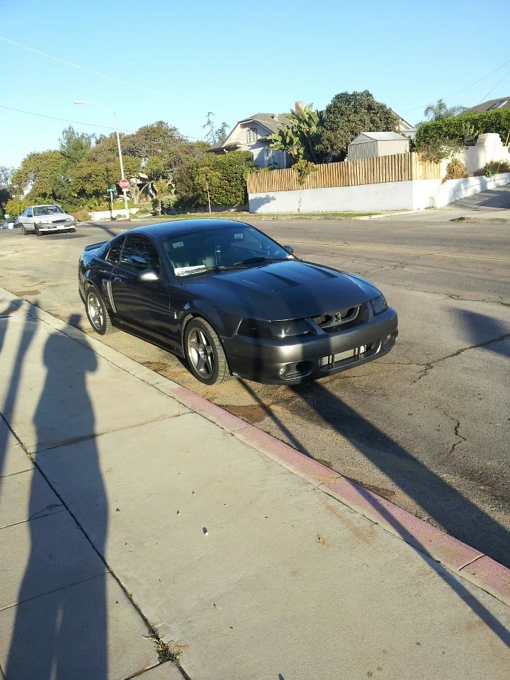 cobra5.webp