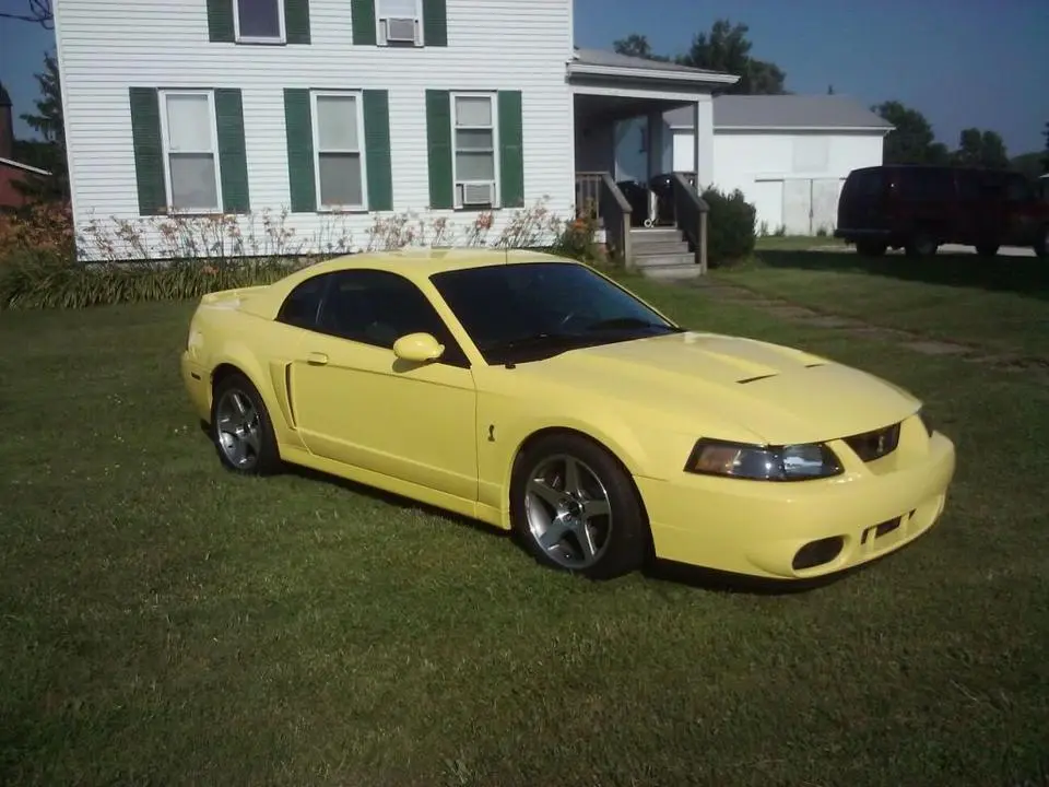 Cobra6.webp