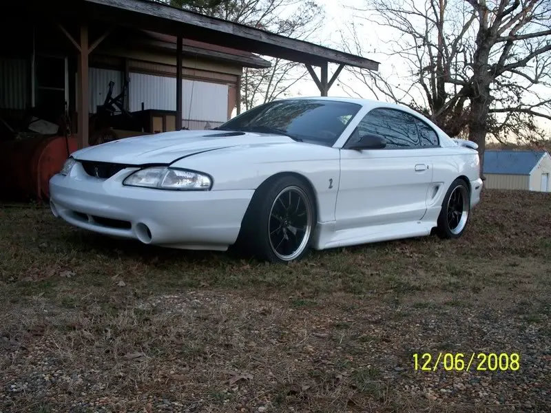cobra6.webp