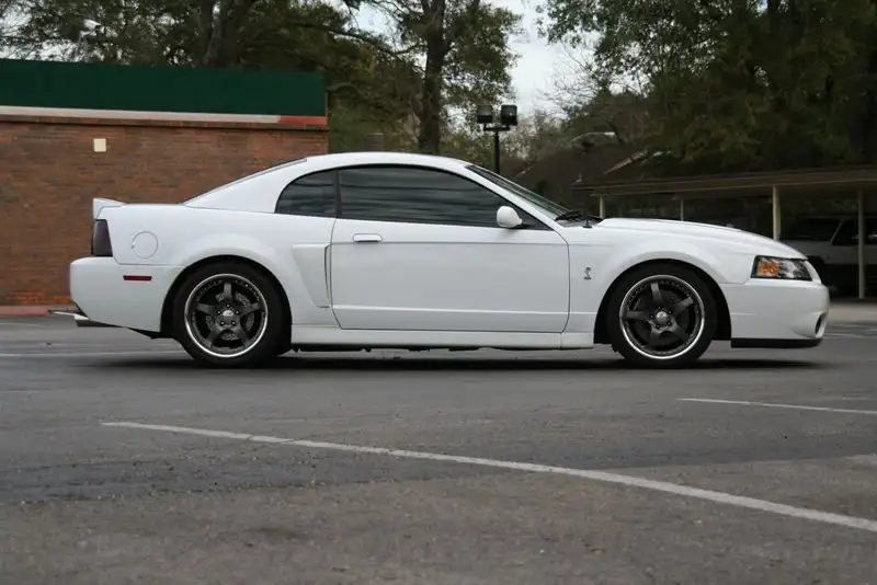 cobra6.webp