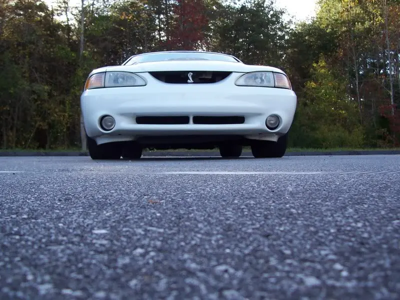 Cobra7.webp