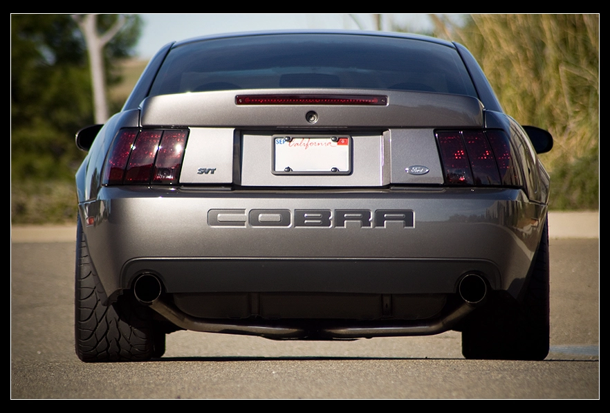 cobra79.webp