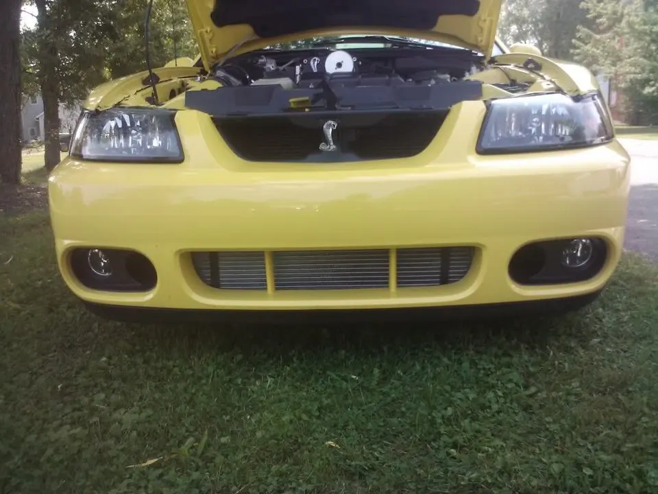 Cobra9.webp
