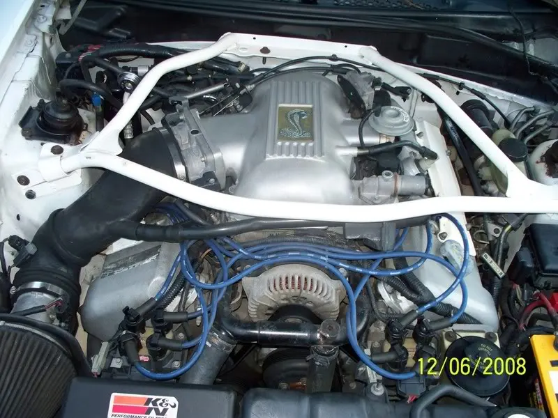 cobra9.webp