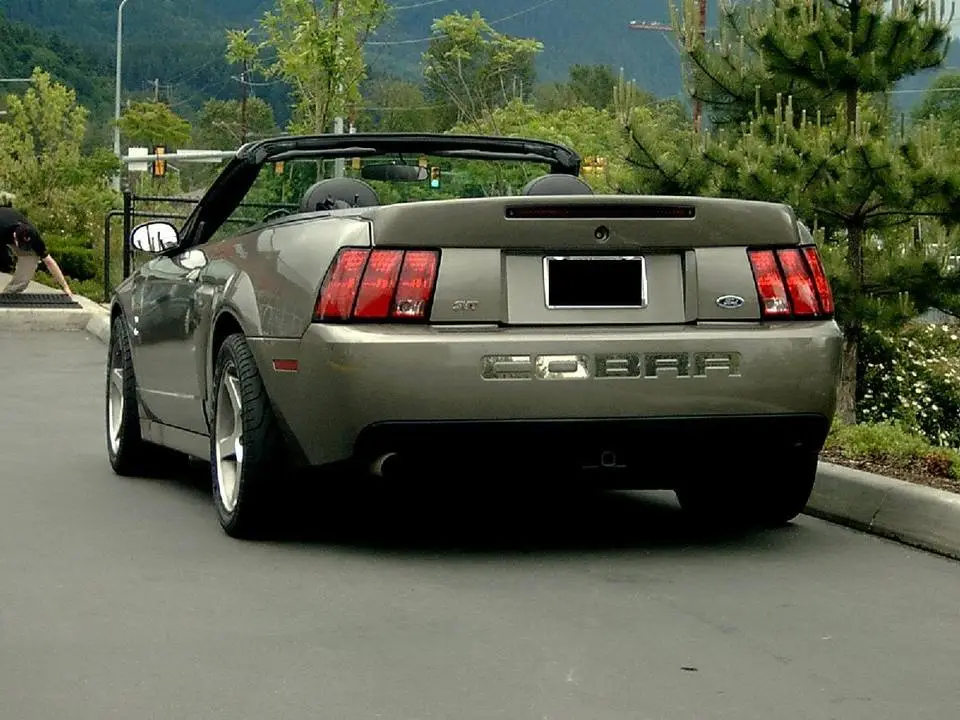 Cobra_015.webp