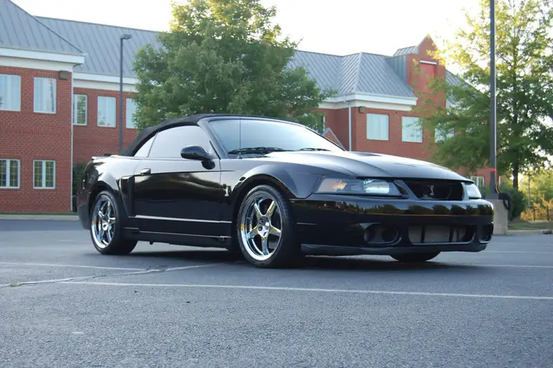 Cobra_2.webp