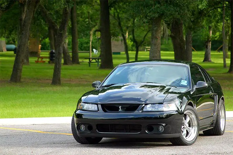 cobra_front.webp