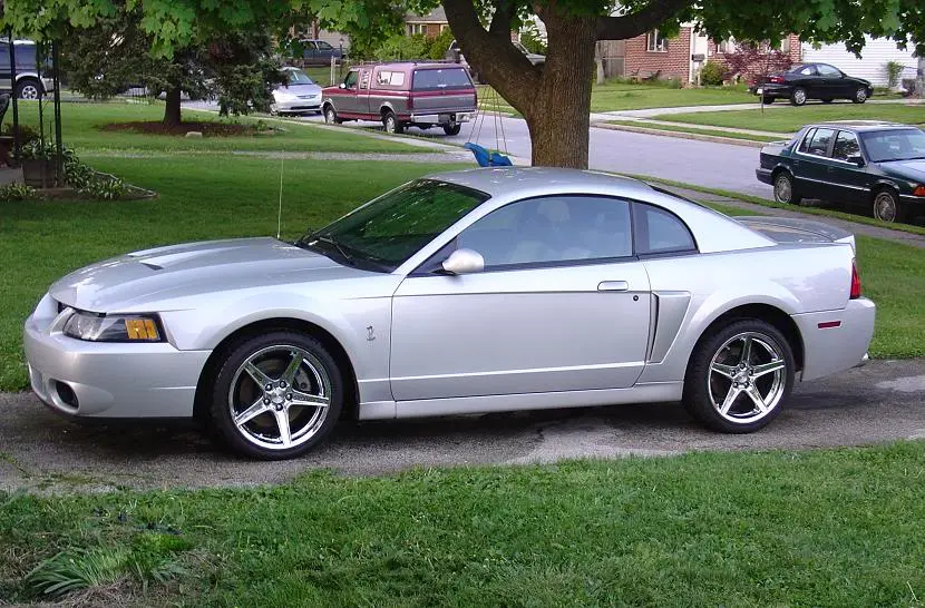 Cobra_in_Driveway.webp