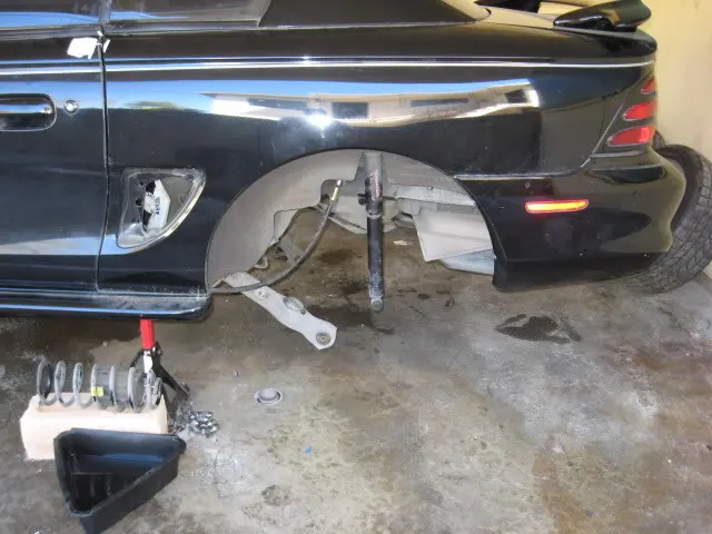 cobra_rear_removed.webp