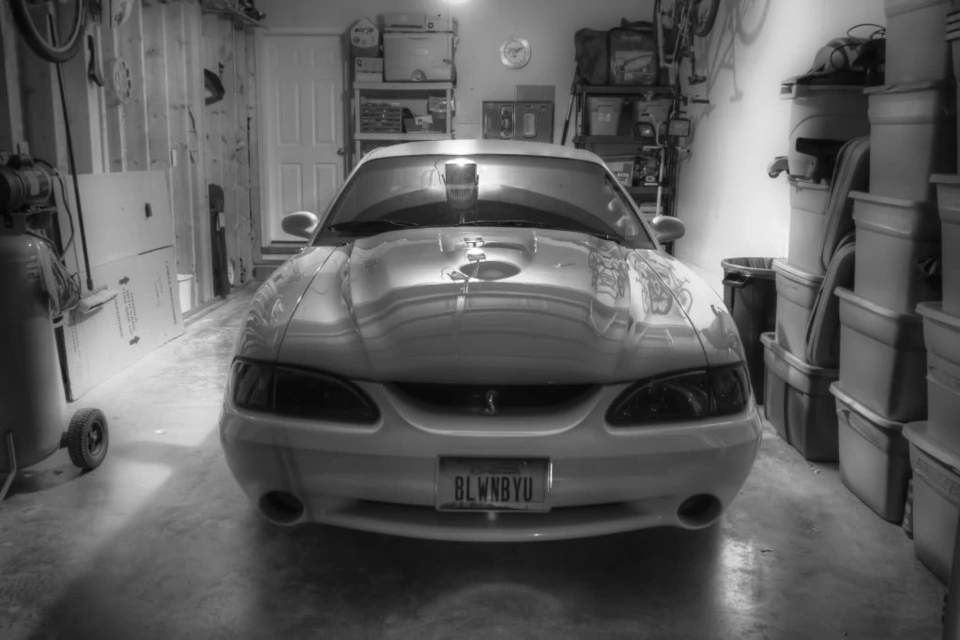 cobrablackandwhiteinthegarage.webp