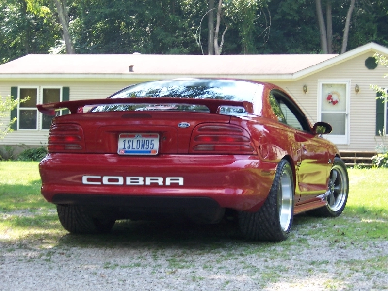 cobrabumper.webp