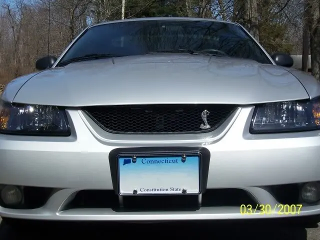 CobraGrille2.webp