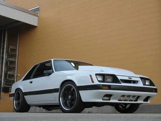 CobrapartsandChrissWhiteMustang054.webp