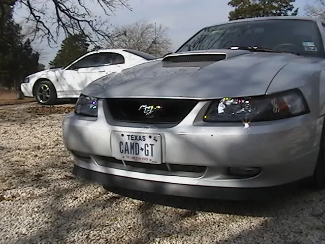 Codyscar015.webp