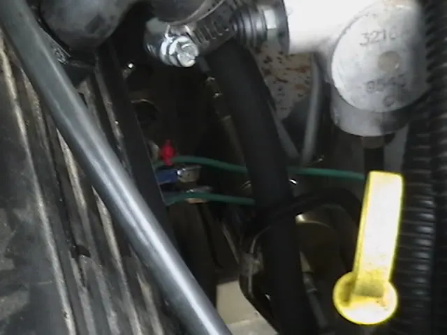 Codyscar231.webp