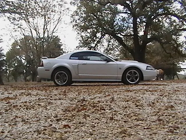 CodysParts013.webp