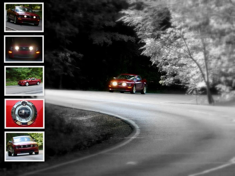 collagesvc0.webp