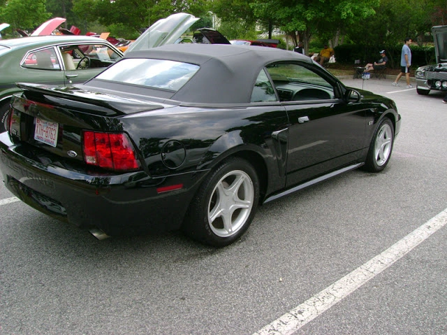 Copy%20of%20DSC01541.webp