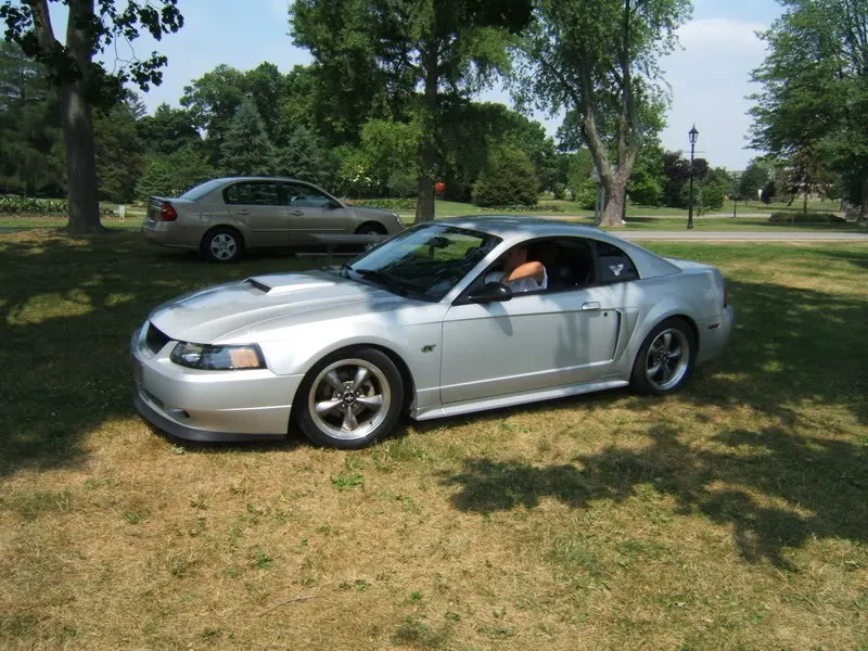 Copy3ofPicture506-1.webp