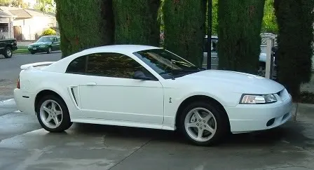 CopyofCobra002.webp