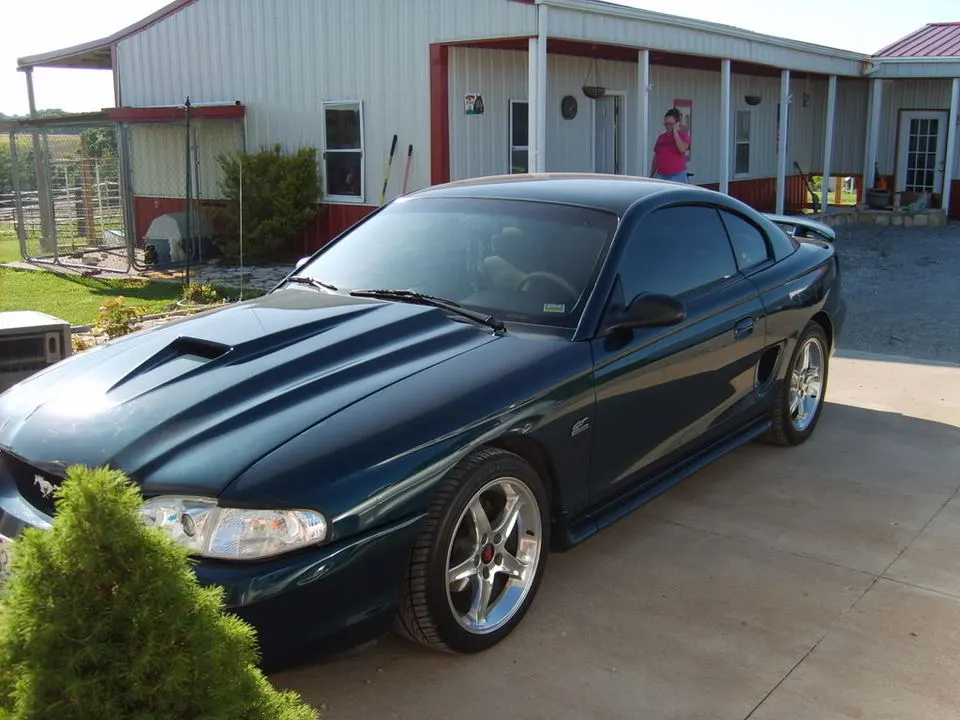 CopyofSD530074.webp