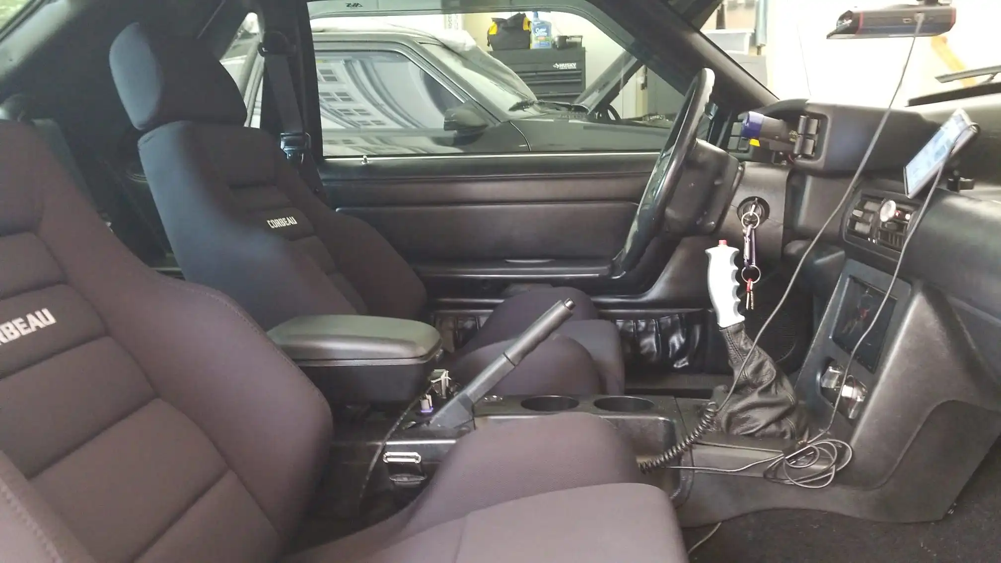Corbeau06.jpg