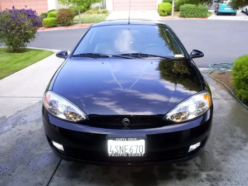 cougar1.webp