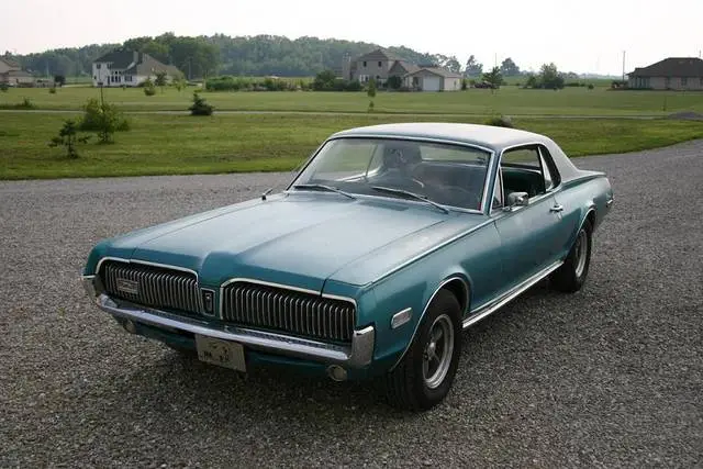 cougar4.webp