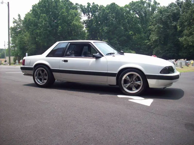coupe003.webp