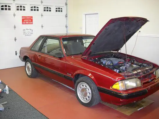 coupe027STANGNET.webp