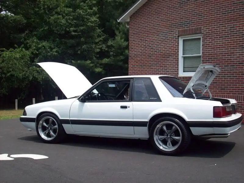 coupe063.webp