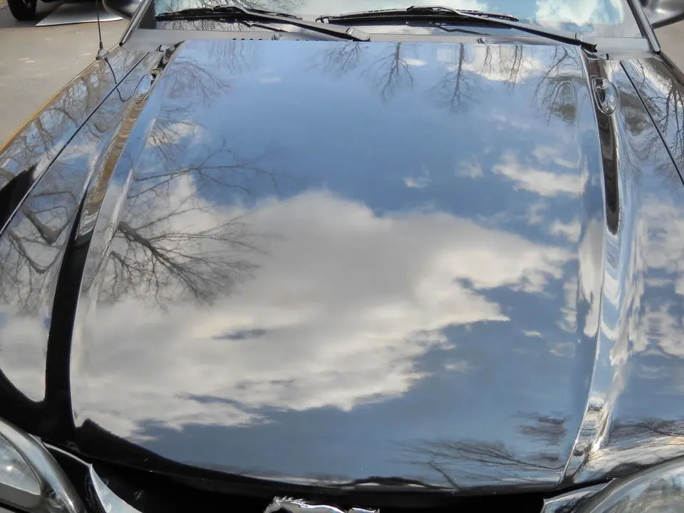 coupe065.webp