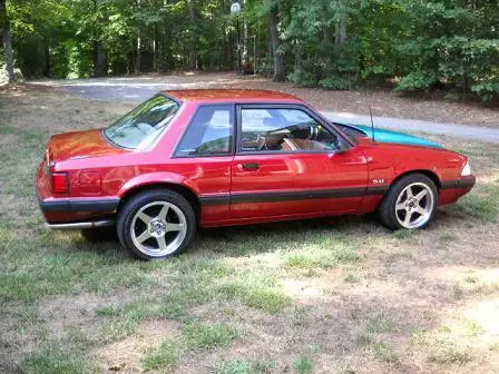 coupe065fdsf.webp