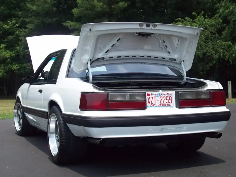 coupe066.webp