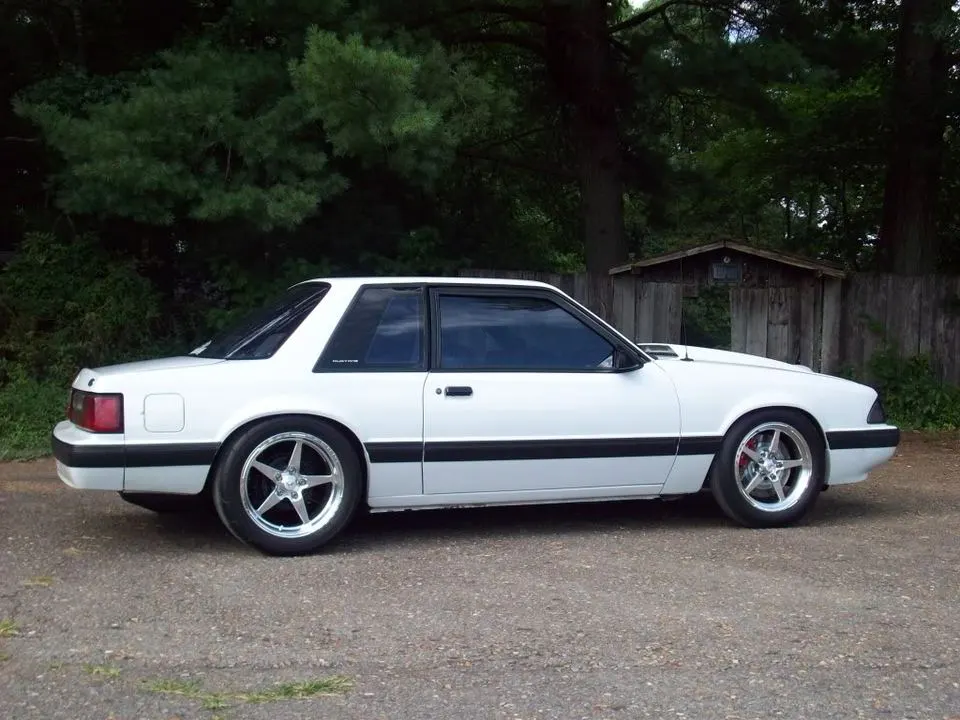 coupe11.webp
