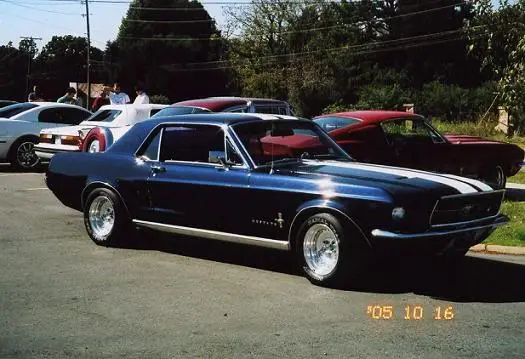 CoupeAndShelby-1.webp