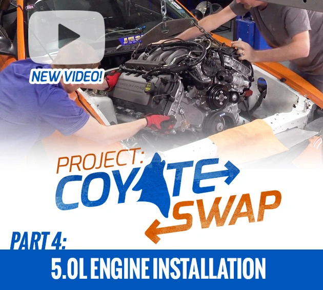 coyote-part4_zps0c25b050.webp
