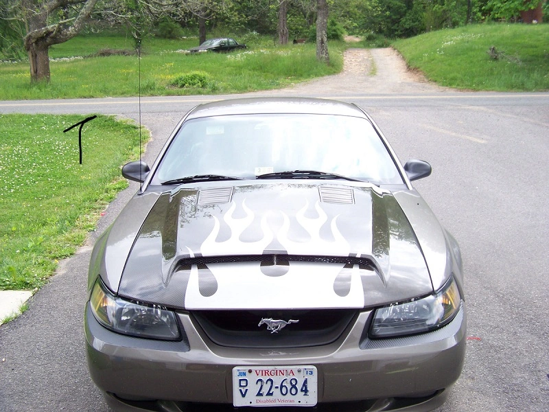 craigslist pics 003.webp
