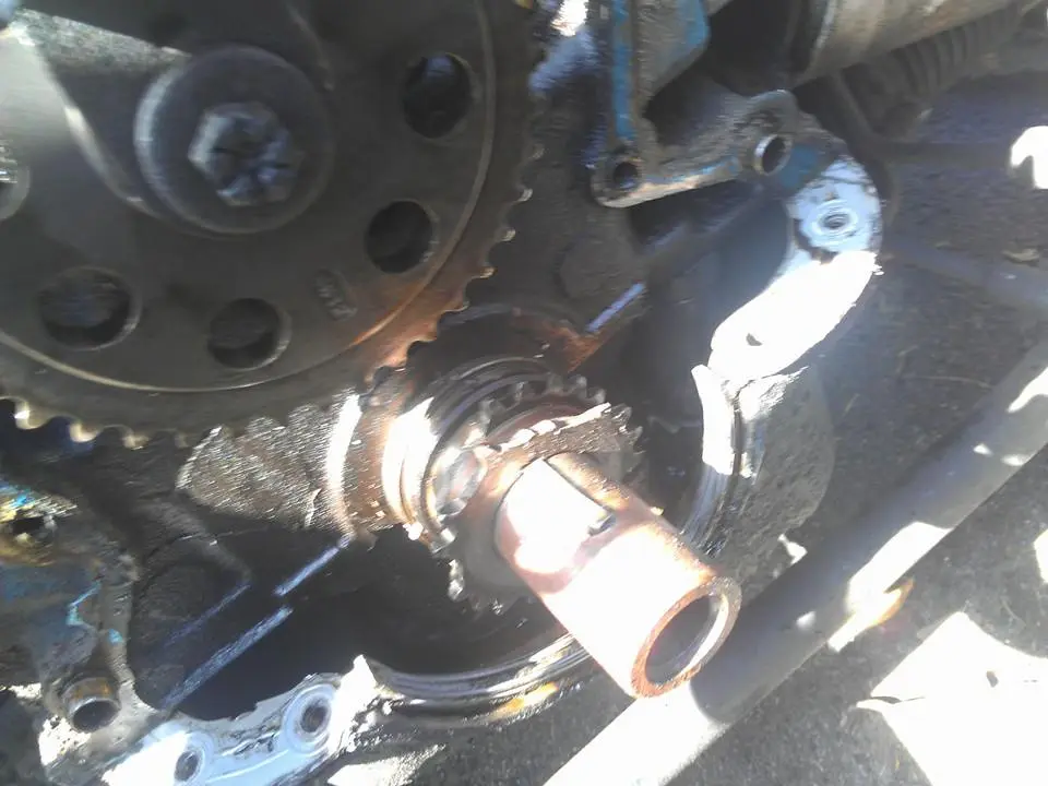 crank snout 2.webp