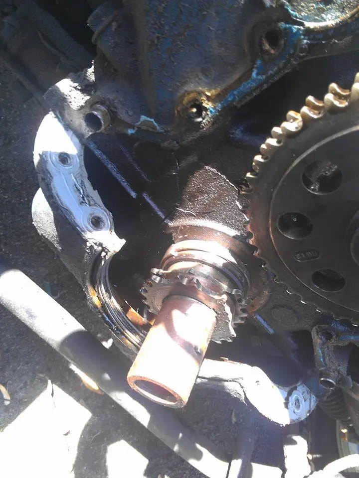 crank snout.webp