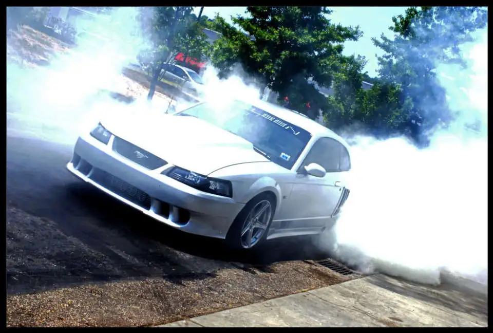 crazymustang2-2.webp