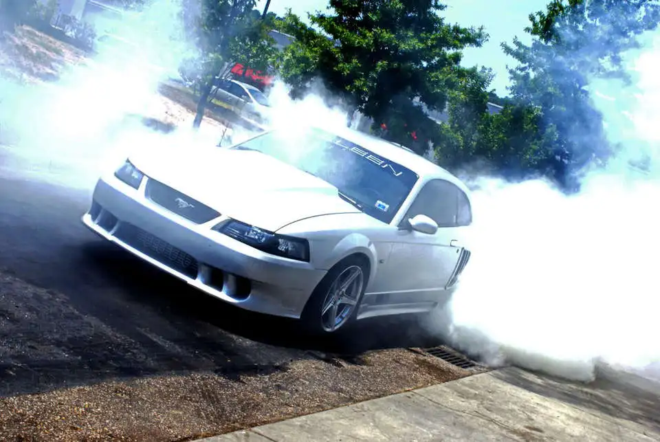 crazymustang2.webp